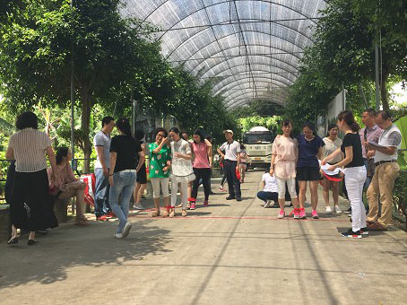 2016 Guangzhou Panyu Yongle Farm Farmhouse Activities
